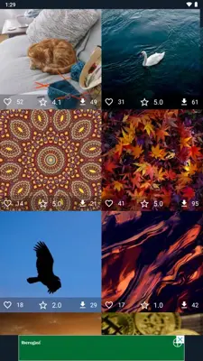 Wallpapers HD Backgrounds 7Fon android App screenshot 1